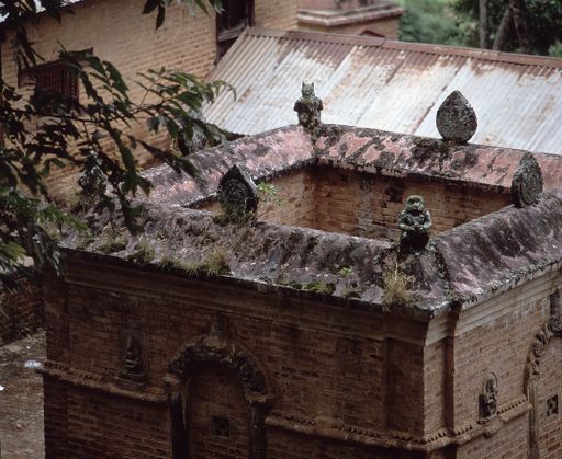 Nepal (Kahlen_1861)