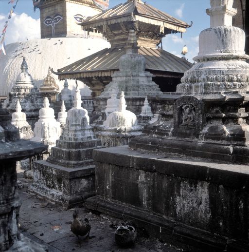 Nepal (Kahlen_1865)