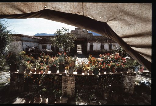Nyethang Atisha (Kahlen_1903)