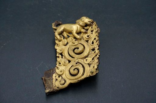 Tibet HundLöwe Flammen Mandorlastück (Kahlen_4506)