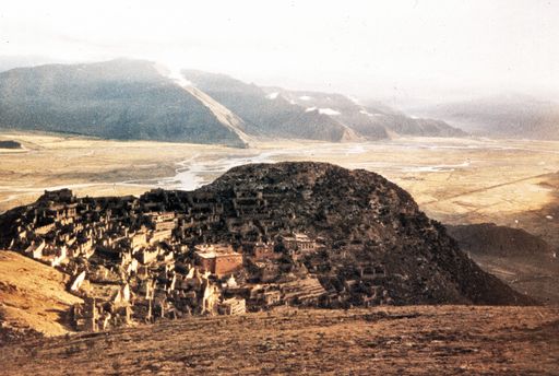 Serkong (Kahlen_4668)