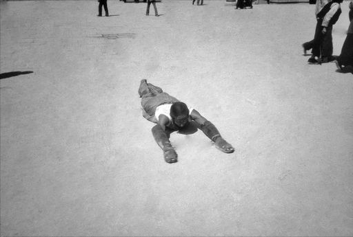 Lhasa Profi Beter (Kahlen_0550)