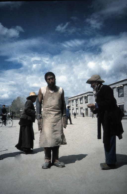 Lhasa Profi Beter (Kahlen_0560)