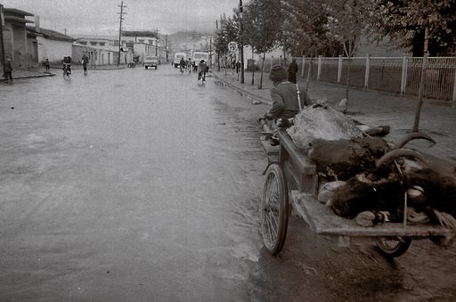 Lhasa Fleischtransport (Kahlen_0566)