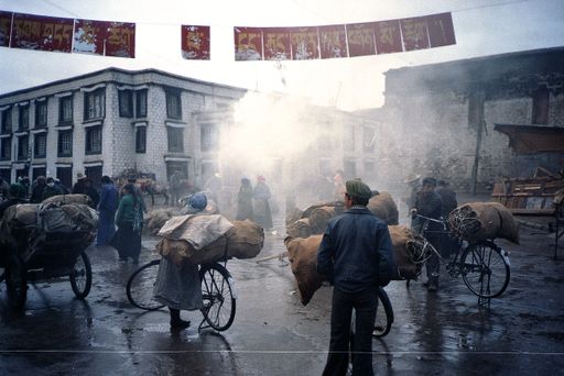 Lhasa Juniper Lieferungen (Kahlen_0571)