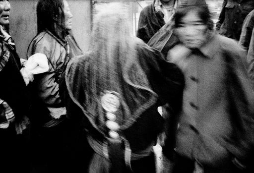 Lhasa SW Zöpfe (Kahlen_0600)