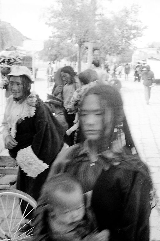 Lhasa Nomaden Bushaltejpg (Kahlen_0605)