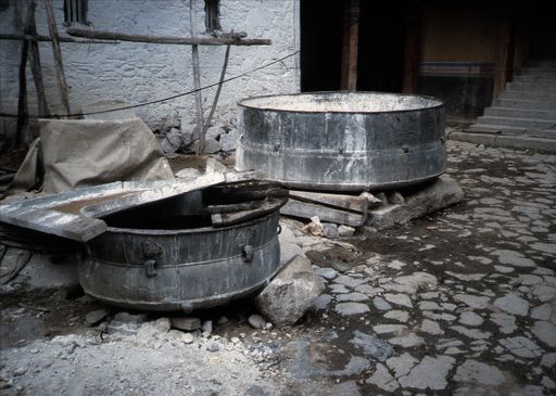 Lhasa Bronze- Tee- Kalkmischerjpg (Kahlen_0692)