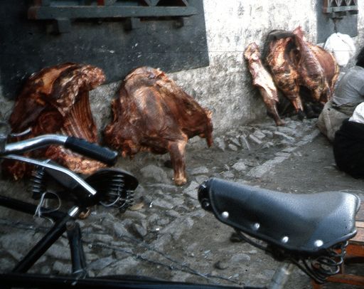 A Lhasa Fleischmarkt (Kahlen_0694)