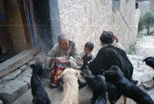 Nechung Hundeliebhaber (Kahlen_0743)