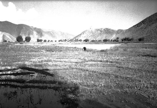 Samye nach dem Regen (Kahlen_0796)