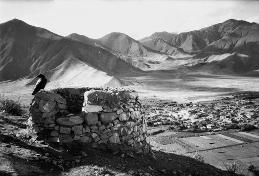 Samye Vom Hapori (Kahlen_0801)