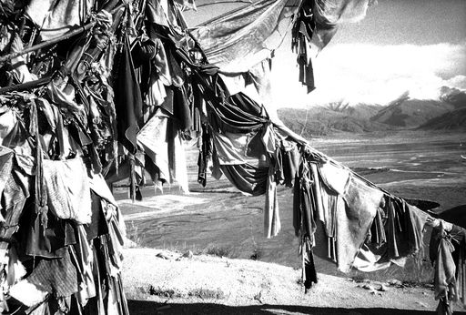 Samye Vom Hapori (Kahlen_0805)