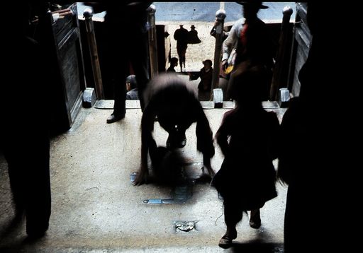 Tashilunpo Niederwerf Eingan (Kahlen_0862)