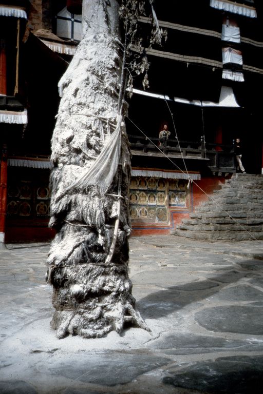 Tashilunpo Losar Pfahl (Kahlen_0866)