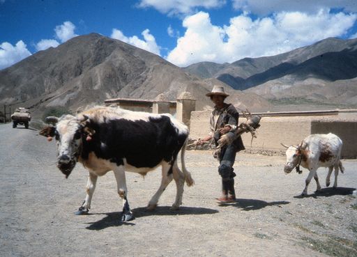 Tibet Lhatse Dzos Bauer Geräte (Kahlen_0884)