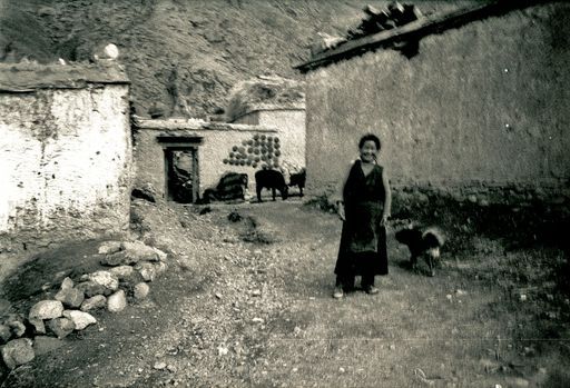 Tsedang Yakfladen (Kahlen_0891)