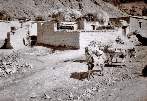 Tsedang Dorf (Kahlen_0894)