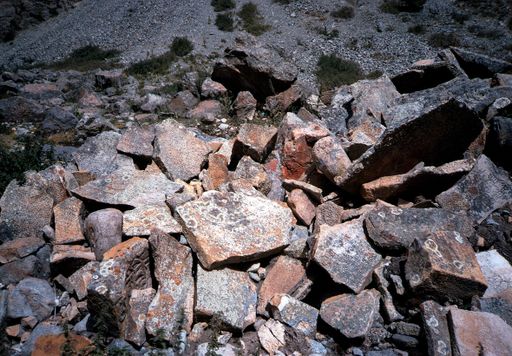 Tsurphu Umgestürzte Manimauer (Kahlen_0951)