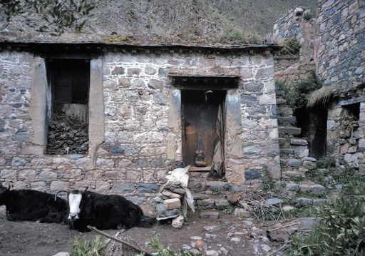 Tsurphu Relikte von Karmapas Sommerpalast (Kahlen_0955)