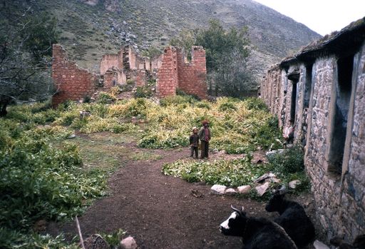 Tsurphu Karmapas Sommerpalast (Kahlen_0957)