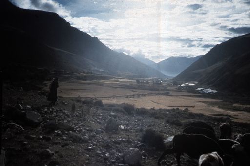 Tsurphu Tal (Kahlen_0969)