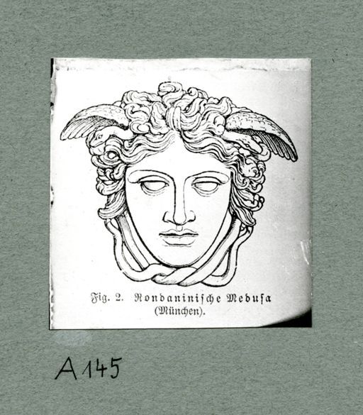 A145: Vergleichsbild: Rondaninische Medusa (München): Zeichnung eines Medusenkopfes (A_145_pos.jpg)