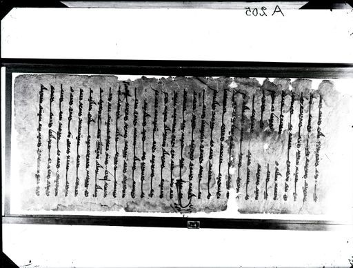 A 205: Gerahmtes Fragment ; altuigurischer buddhistischer Text