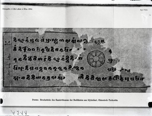 A 211: Fragment, Bl. 173 aus Pischel: Bruchstücke des Sanskritkanons der Buddhisten aus Idykutschari, Chinesisch-Turkestan