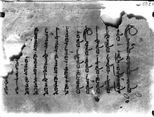 A 213: Fragment einer mittelpersischen Handschrift in europäischem Buchformat in Pahlavi Schrift