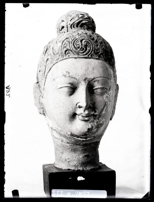 A 82: Buddhakopf mit ornamentalen Locken ; leichtes Profil