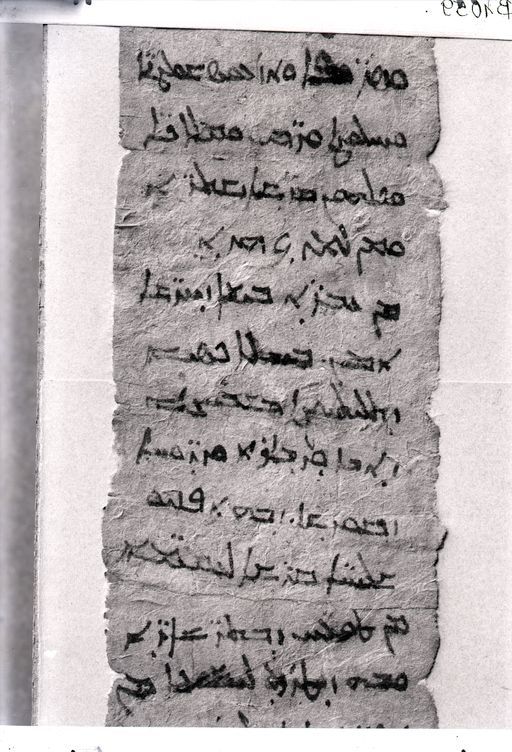 B 1059: S.B 1055