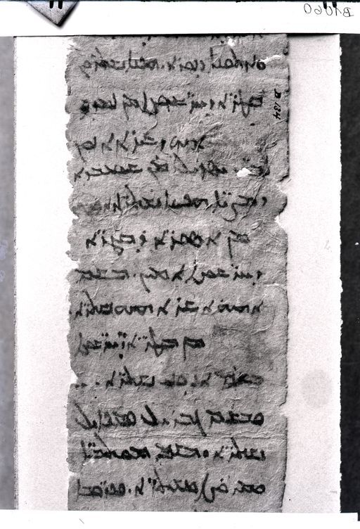 B 1060: S.B 1055