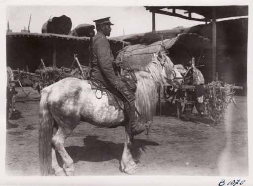 B1075: Theodor Bartus zu Pferd im Hof einer Karawanserai (Turfan_IV_09_B_1075_Bartus_Kucha.jpg)