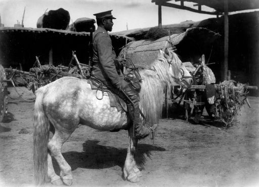 B 1075: Theodor Bartus zu Pferd im Hof einer Karawanserai