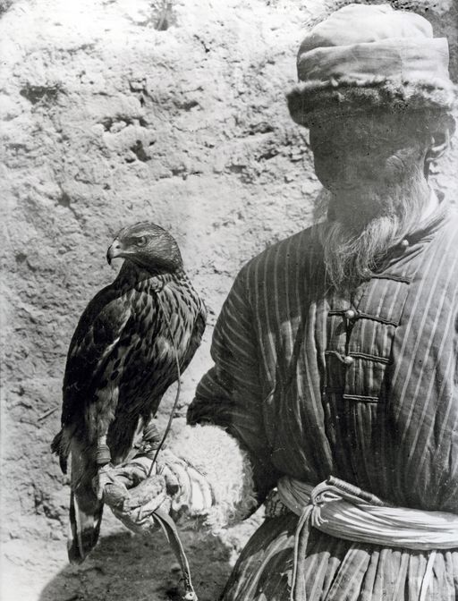 B1113: Falke mit Beizjäger (B_1113__Kucha_Voegel_Personen.jpg)