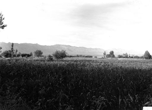 B 1242: Panorama: Landschaft