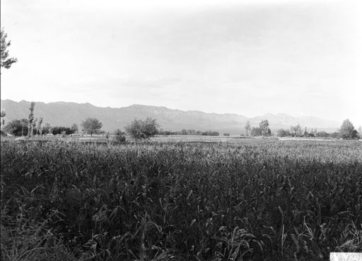 B 1251: Unidentifiziert: Felder und Gebirge