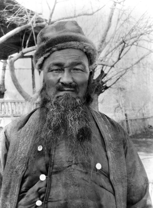 B 1391: Safdar Ali, Prinz von Hunza