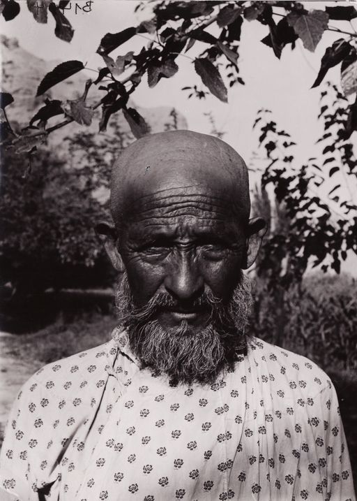 B1404: Maksud Darogha, Le Coqs Begleiter (wie 1905/06), im Garten. (Turfan_IV_20_B_1404_Maqsud_Daroga.jpg)