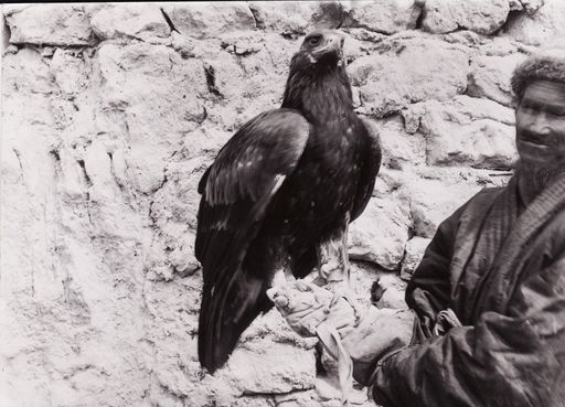 B 1412: Beizjäger mit Steinadler