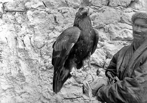 B1412: Beizjäger mit Steinadler (B_1412_Steinadler_Personen.jpg)