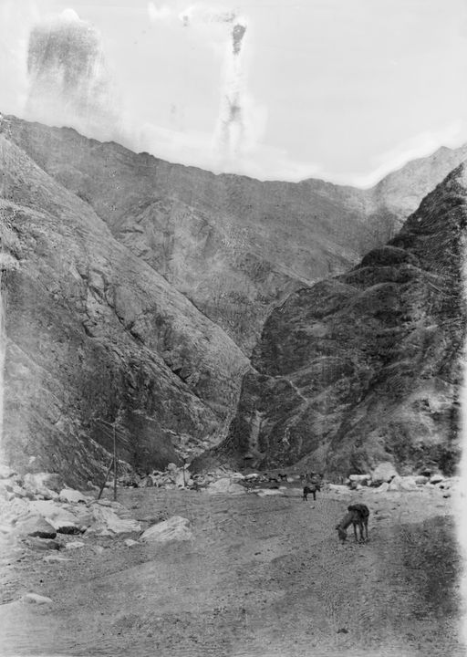 B1420: Grasende Packpferde im Gebirgstal, vermutlich gehörend zu Le Coqs Tross auf dem Weg nach Indien (B_1420_Landschaft.jpg)