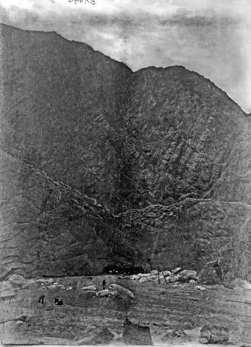 B 1494: Lasttiere vor Bergmassiv am Fluss bei der Überquerung. Vermutlich von der Rückreise Le Coqs über Indien