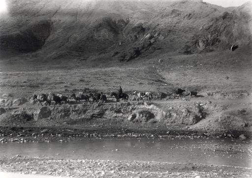 B1505: III. Expedition auf dem Marsch mit Packpferden und Kisten hinter Andijan (B_1505_Altai_Gebirge_Personen.jpg)