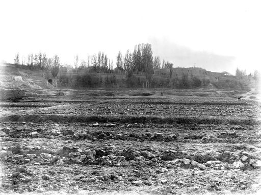 B 1561: Britisches Konsulat in Kashgar von der nördlichen Ebene aus gesehen