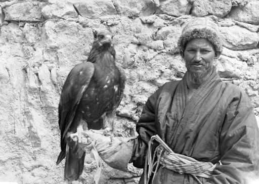 B 1583: Beizjäger mit Steinadler
