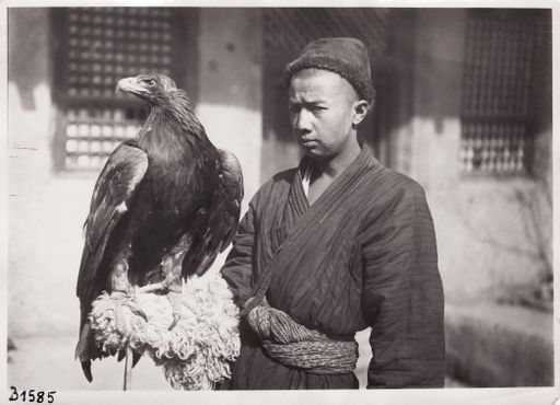 B1585: Beizjäger mit Steinadler (Turfan_III_56_B_1585_Sohn_des_Maqsud.jpg)