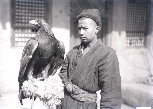 B 1585: Beizjäger mit Steinadler