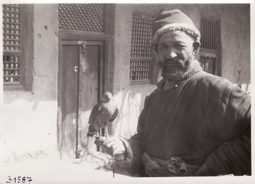 B1587: Beizjäger mit Falken (Sperber) (Turfan_III_69_B_1587_Maqsud_Daroga.jpg)